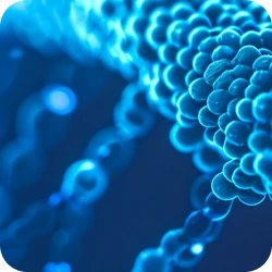 AMCAP™ β-Galattosidase mRNA