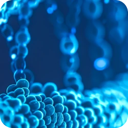 AMCAP™ Cre recombinase mRNA