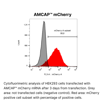 AMCAP™ mCherry mRNA - Image 2